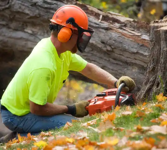 tree services North Perry